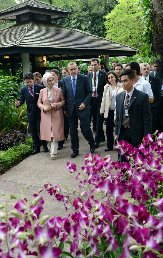 Başbakan'a orkide sürprizi - Resim: 1