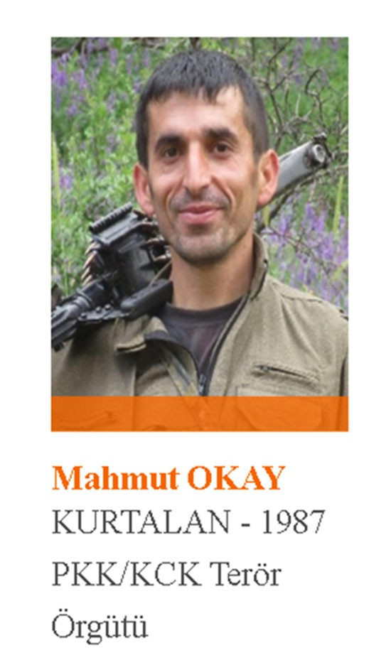 1 milyon TL ödülle aranan terörist Mahmut Okay'ın testi pozitif çıktı - Resim: 0