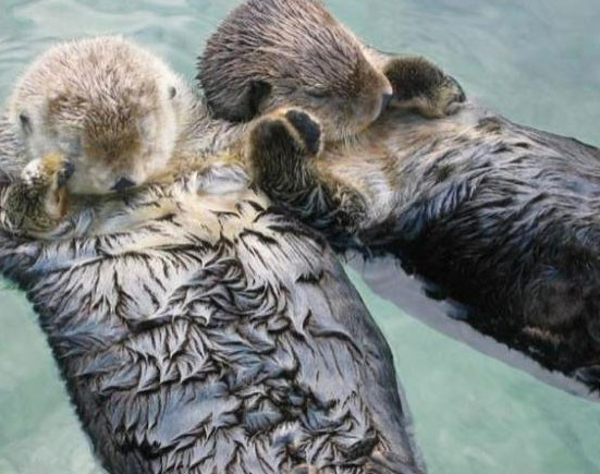 Hayret ettirecek 20 ilginç bilgi... - Resim: 1