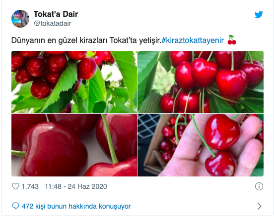 Kiraz Tokat'ta yenir TT oldu herkes Tokat'a destek oldu - Resim: 0