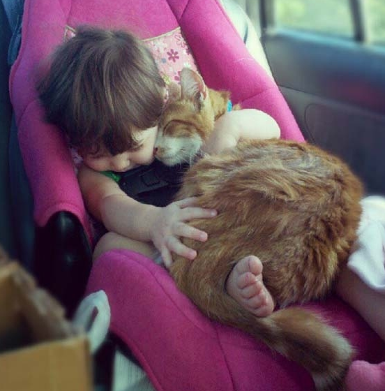 Gülümsemek için 30 sebep - Resim: 3