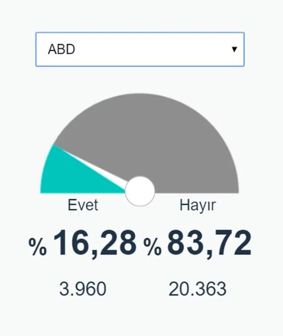 Ülke ülke yurt dışı referandum sonuçları Almanya'ya bakın - Resim: 2