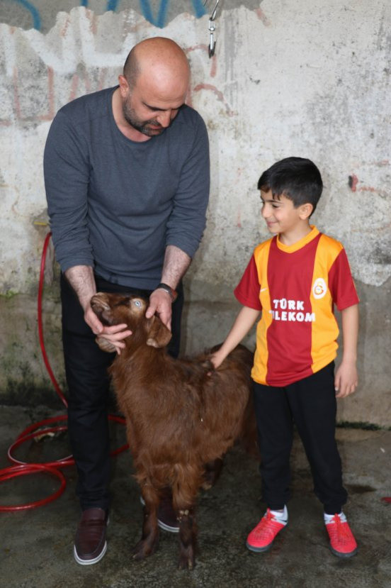 Diyarbakır'da Galatasaray bu kez kazansın diye adak koç kesildi - Resim: 1