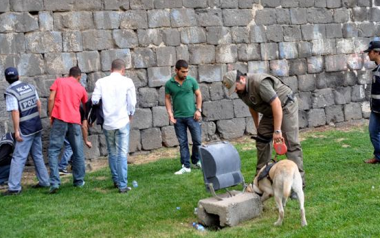 Diyarbakır'da büyük operasyon - Resim: 4