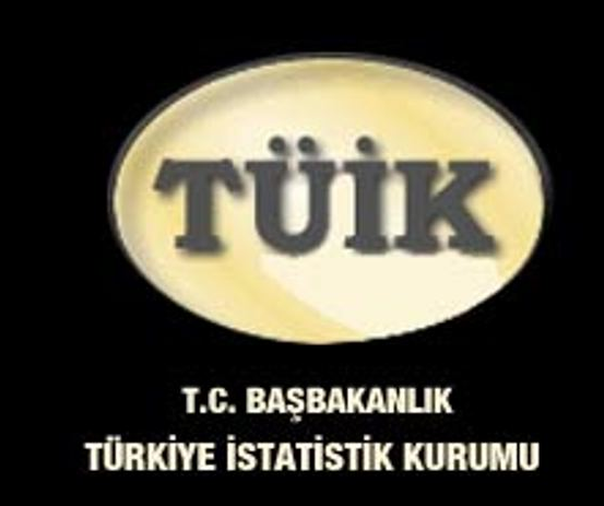 Türkler'i bu hastalıklar öldürdü - Resim: 1