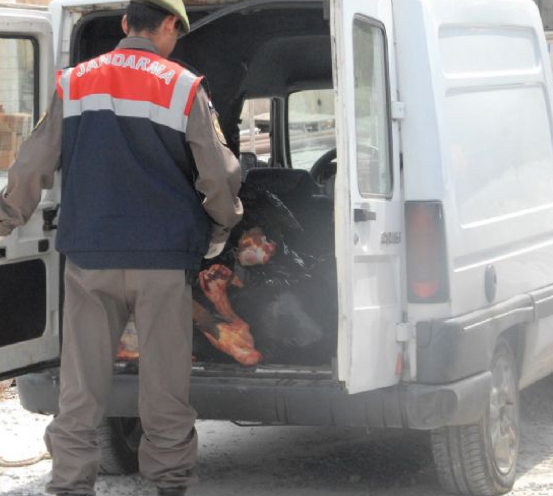 Aman Allah'ım! Bunları yiyecekmişiz - Resim: 2