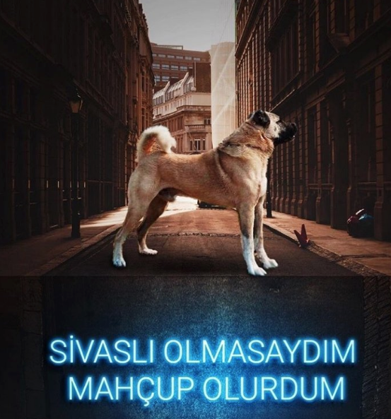 Sivas capsleri TT oldu! Dünya Sivaslılar gününde sosyal medyayı salladılar - Resim: 3