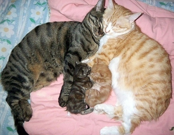 Gülümsemek için 30 sebep - Resim: 1