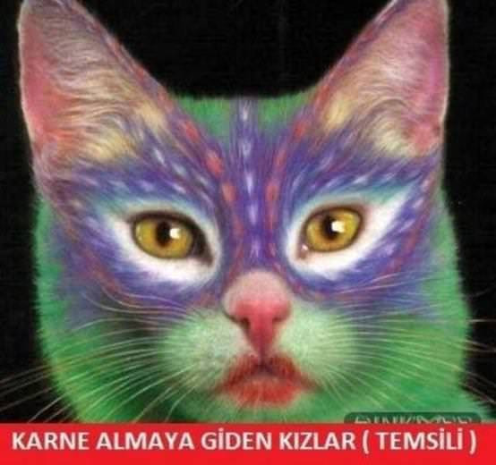 İşte sosyal medyayı sallayan karne günü Caps'leri - Resim: 4