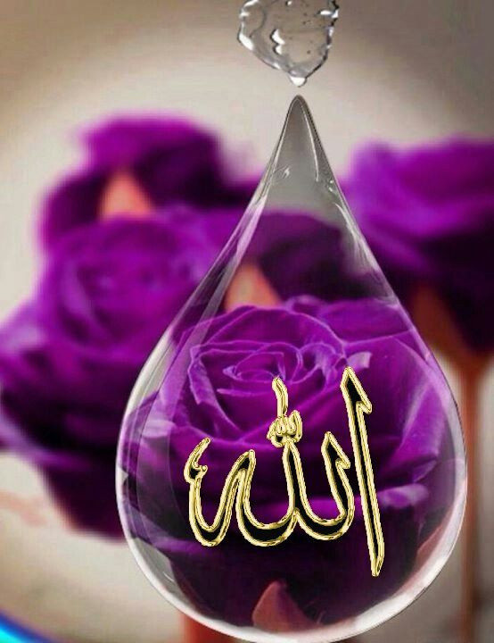 Miraç Kandili 12 rekatlık özel nafile namazı kılınışı ve Miraç gecesi duası - Resim: 0