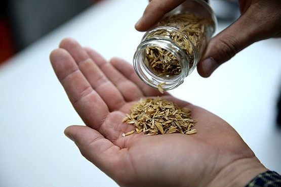 Pirinç kabuğundan yanmaz levha - Resim: 1