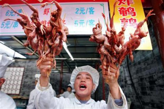 Bunları yemek cesaret ister - Resim: 4