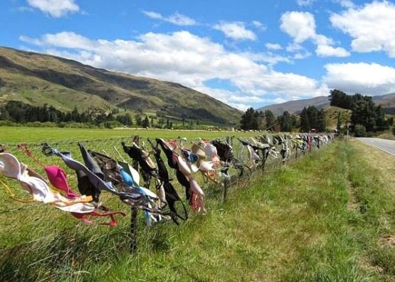 Kızlar sütyenlerini buraya asıyor! Hikayesi çok ilginç - Resim: 1