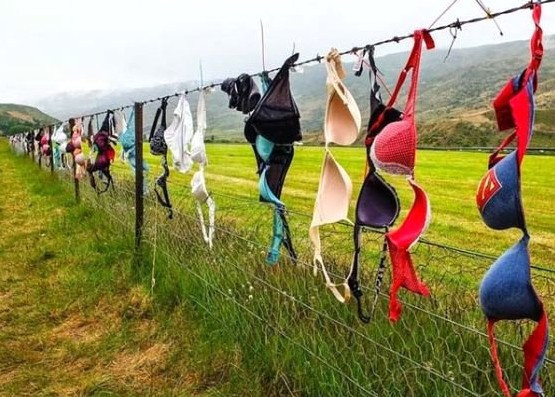 Kızlar sütyenlerini buraya asıyor! Hikayesi çok ilginç - Resim: 2