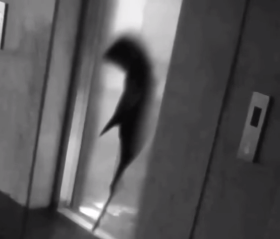 Bu fotoğraftaki kişiye dikkat öyle bir şey yaptı ki... - Resim: 4