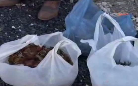 2 PKK'lıyı yerden topladılar - Resim: 3