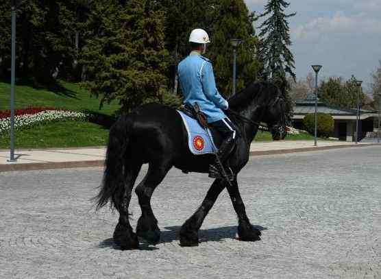 Çankaya Köşkü'nde ilk atlı tören - Resim: 3