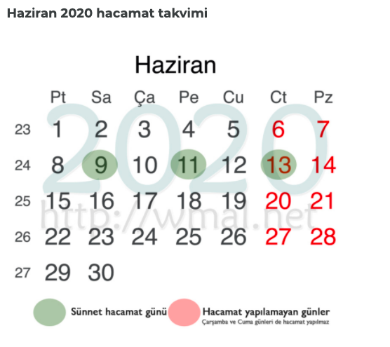 Hacamat günleri haziran takvimi 2020 hangi günler yapılır? - Resim: 0