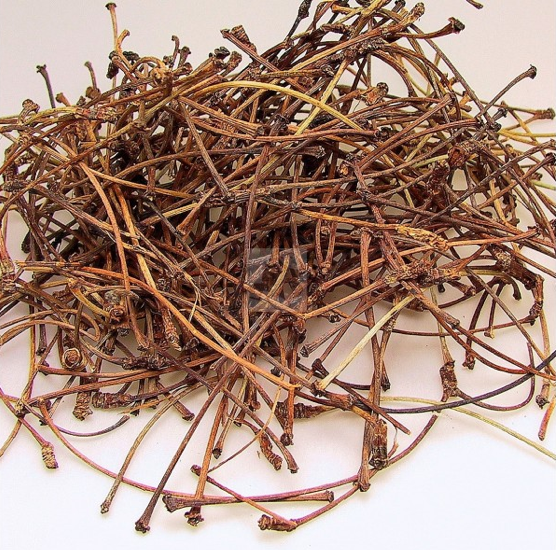 6 ot 6 mucize - Resim: 4