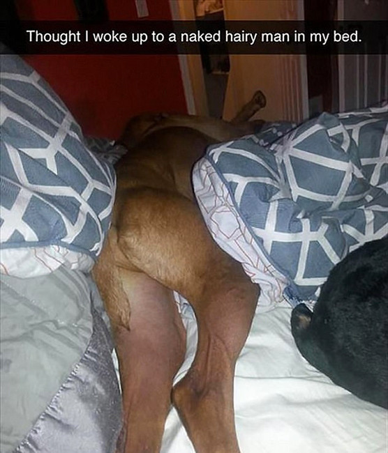 Plajda bu görüntüyü görünce şoke oldu ama... - Resim: 4