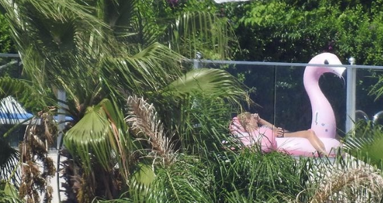 Sıla'nın flamingo deniz yatağı keyfi - Resim: 3