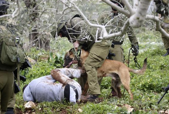 Filistinli gence akıl almaz işkence - Resim: 2