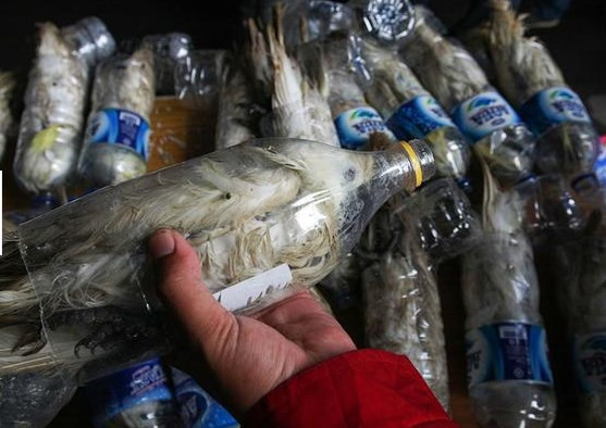 Böyle işkence görülmedi - Resim: 4