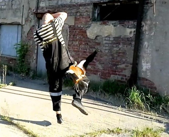 Bu sevgi biraz fazla sonrası ise gerçekten inanılmaz - Resim: 1