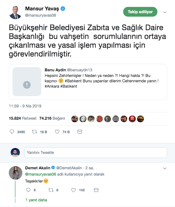 Mansur Yavaş köpek katliamına sessiz kalmadı! Ünlü isimlerden mesaj yağdı - Resim: 0
