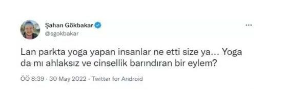 Yaz aylarının çoşkusu dedi Bebek'teki cinsel ilişki skandalını böyle ti'ye aldı - Resim: 4