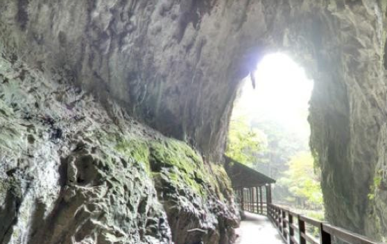 Google'ın girmediği bir burası kalmıştı - Resim: 4