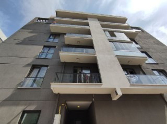 Bursa'da cinnet getiren ağabey, kardeşini öldürdükten sonra intihar etti - Resim: 1