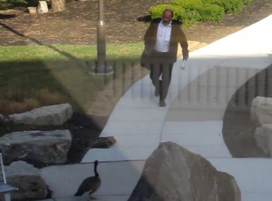 İşte gülme garantili ilginç park kavgası - Resim: 1