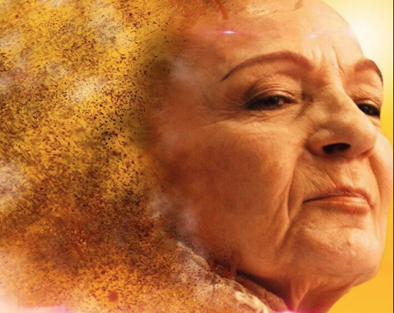 Ünlü oyuncu Nilüfer Aydan’ın 'FETÖ propogandası ve Erdoğan'a hakaretten' hapsi isteniyor - Resim: 3