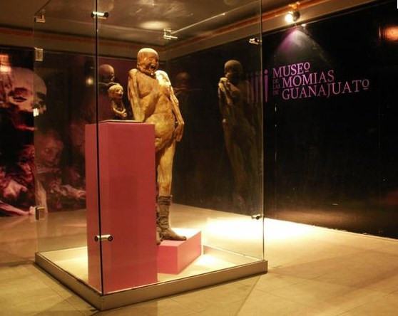 Dünyanın en korkunç müzesi burası! - Resim: 1