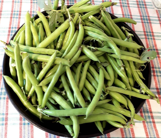 Bir bardak bakla kaç kaloridir işte mucize besinin insan vücuduna faydaları - Resim: 4