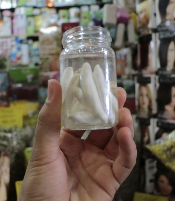 Şifa kaynağı kenger bitkisinin faydaları - Resim: 3