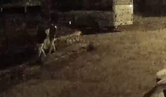 Kocaeli'deki hırsızlık şüphelisi: Televizyon bozulmuştu çalmak zorunda kaldım - Resim: 0