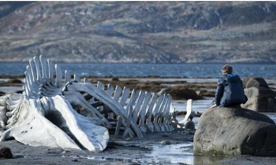 Vizyonda bu hafta: 16 Ocak 2015 - Resim: 1