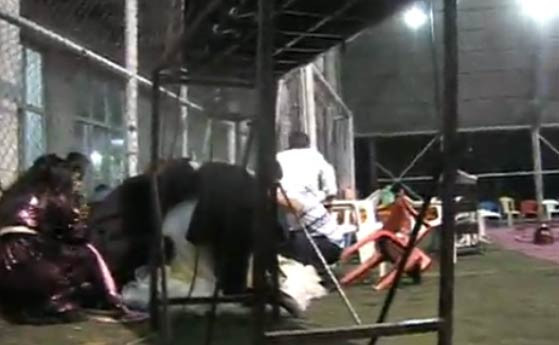 Düğün eğlencesi kabusa döndü - Resim: 4