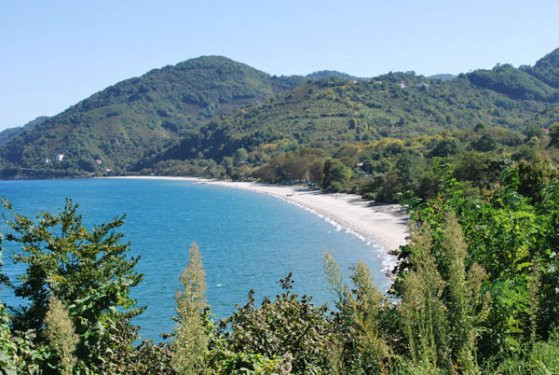 Türkiye'den etkileyici sonbahar fotoğrafları - Resim: 4