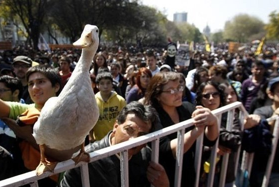 Yok artık daha neler - Resim: 3