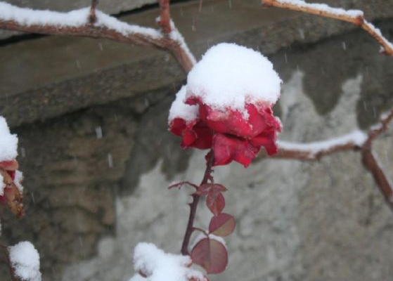 Doğu'da göz gözü görmüyor - Resim: 3