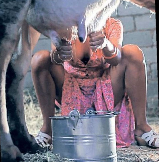 Vahşi cazibe İvana Sert süt sağarsa... - Resim: 4