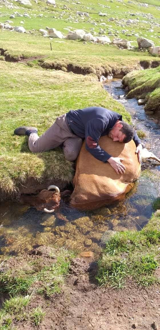 Rizeli çiftçi gündem oldu Haluk Levent harekete geçti - Resim: 2