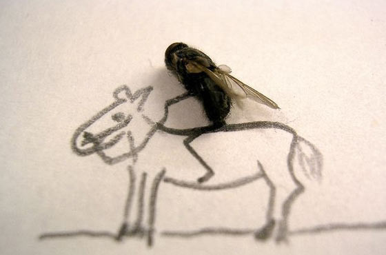 Hayal gücünün bu kadarı! - Resim: 1