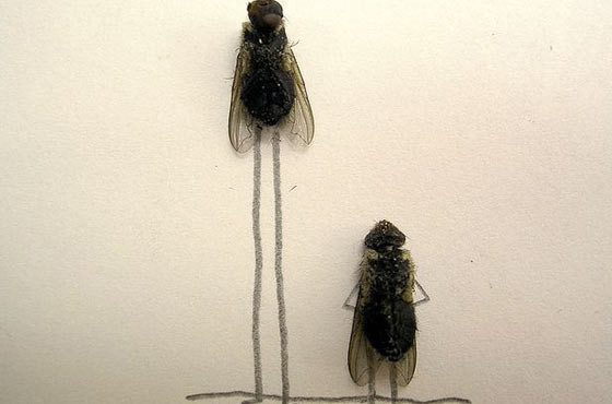 Hayal gücünün bu kadarı! - Resim: 2