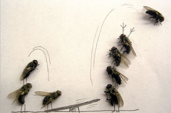 Hayal gücünün bu kadarı! - Resim: 3