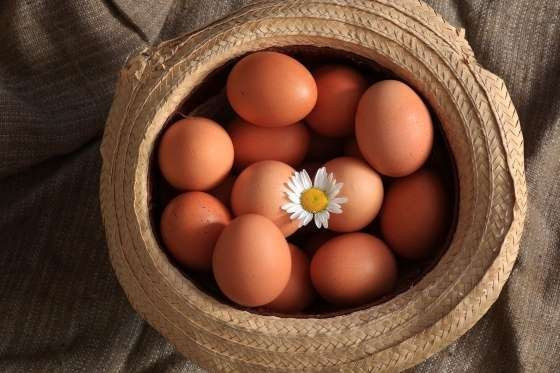 Yumurtanın sarısı koyu renkse... - Resim: 1