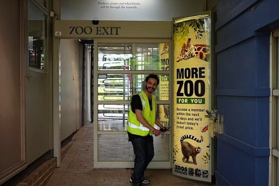 Bu ikili beleşçiliğin zirvesi! Peki bunu nasıl başarıyorlar - Resim: 4